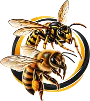 Bees and Wasps Removal logo